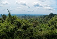 Borneo - Kinabatangan river o1058